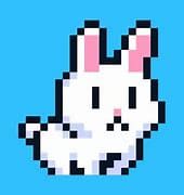 Poor Bunny